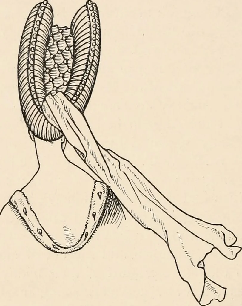 An illustration from Chats on costume, 1906, leaf 251