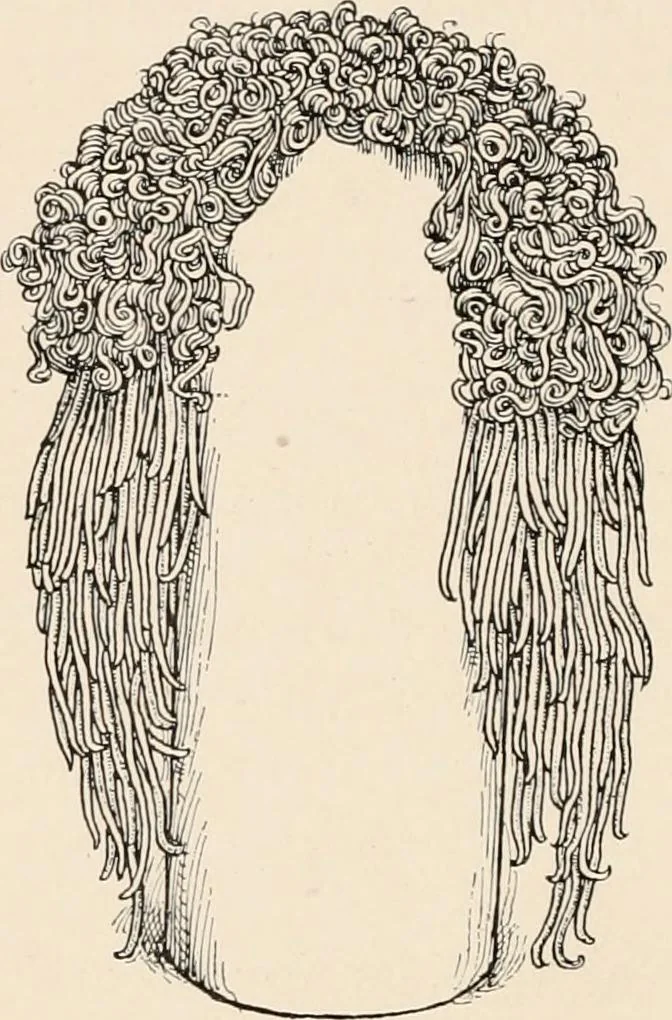 An illustration from Chats on costume, 1906, leaf 257