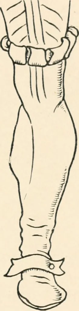An illustration from Chats on costume, 1906, leaf 300
