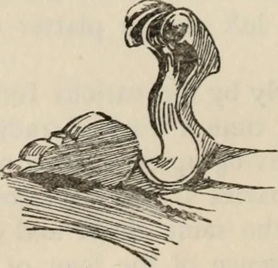 An illustration from Chats on old pewter, 1911, leaf 263
