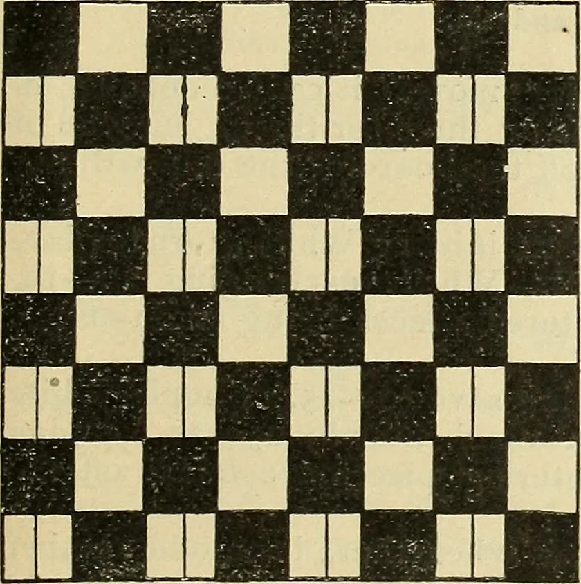 An illustration from Checkers; a treatise on the game, 1896, leaf 28