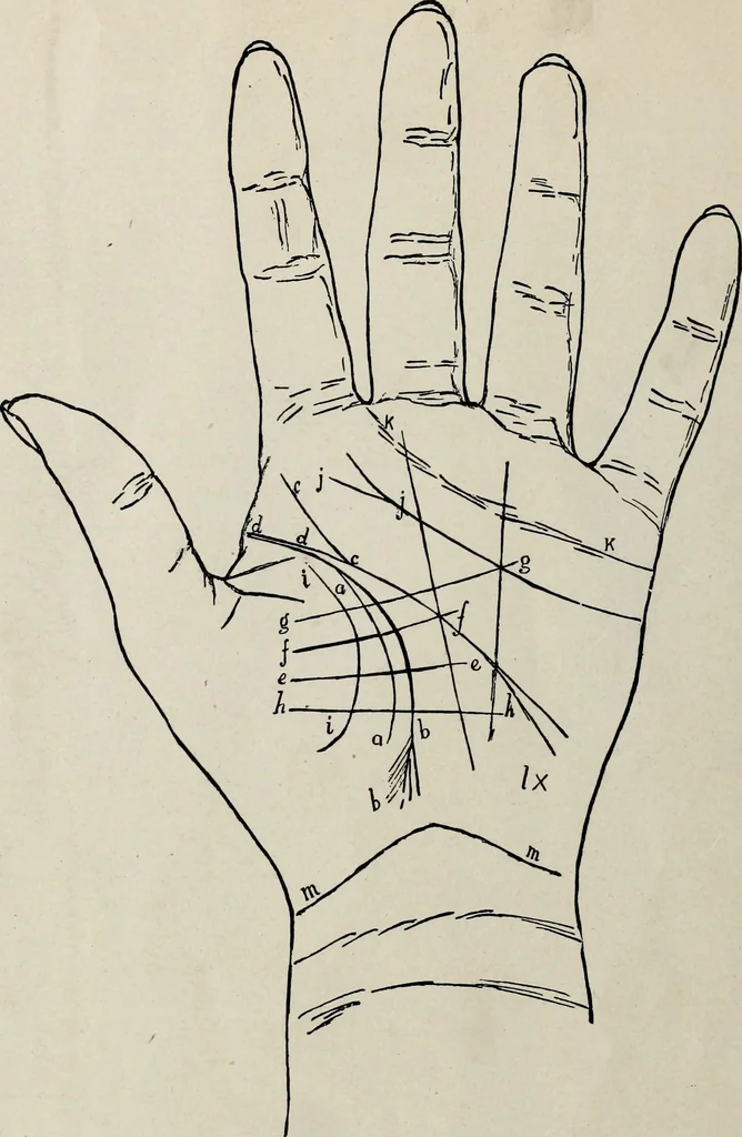 An illustration from Cheiro's language of the hand : complete practical work on the sciences of cheirognomy and cheiromancy, containing the system, rules, and experience of Cheiro [pseud.] fifty-five full-page illustrations, and over two hundred engravings of lines, mounts, and marks, 1900, leaf 129