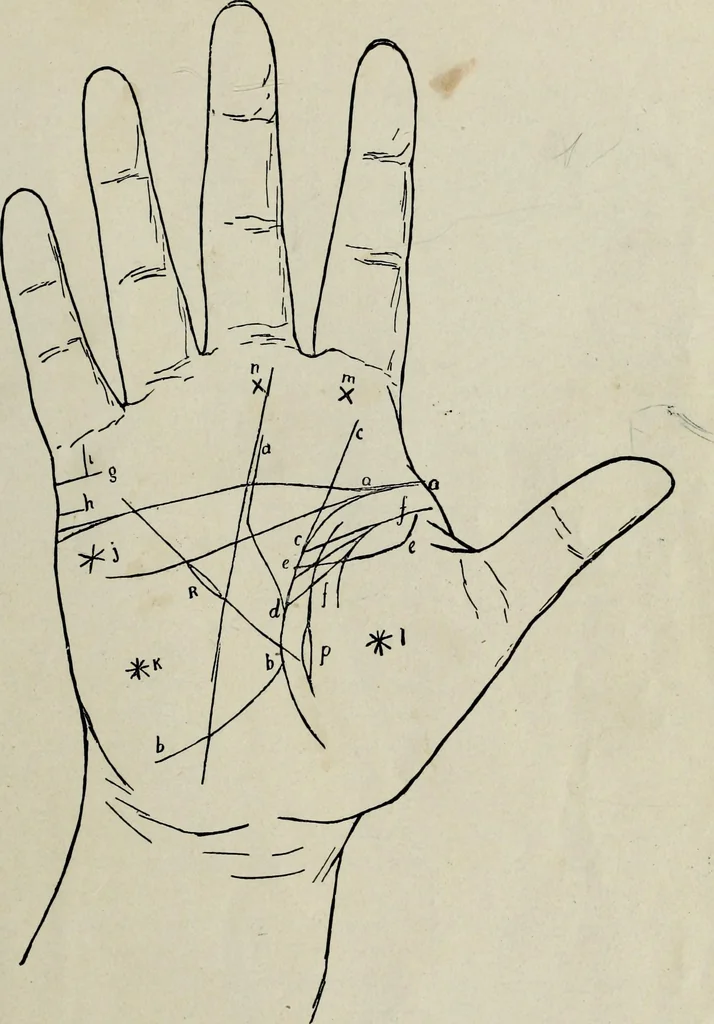 An illustration from Cheiro's language of the hand : complete practical work on the sciences of cheirognomy and cheiromancy, containing the system, rules, and experience of Cheiro [pseud.] fifty-five full-page illustrations, and over two hundred engravings of lines, mounts, and marks, 1900, leaf 152