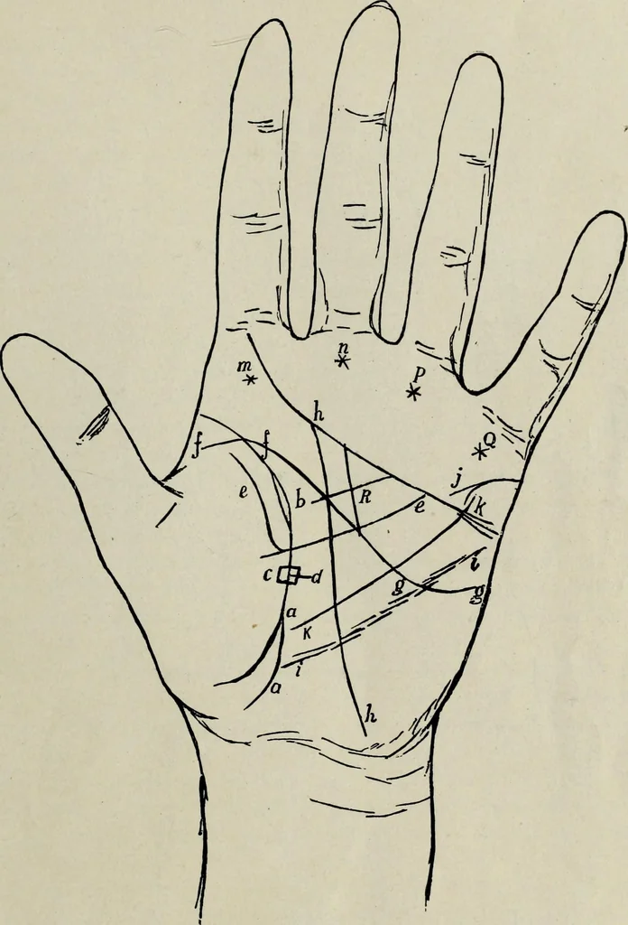 An illustration from Cheiro's language of the hand : complete practical work on the sciences of cheirognomy and cheiromancy, containing the system, rules, and experience of Cheiro [pseud.] fifty-five full-page illustrations, and over two hundred engravings of lines, mounts, and marks, 1900, leaf 162