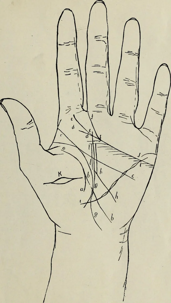 An illustration from Cheiro's language of the hand : complete practical work on the sciences of cheirognomy and cheiromancy, containing the system, rules, and experience of Cheiro [pseud.] fifty-five full-page illustrations, and over two hundred engravings of lines, mounts, and marks, 1900, leaf 170