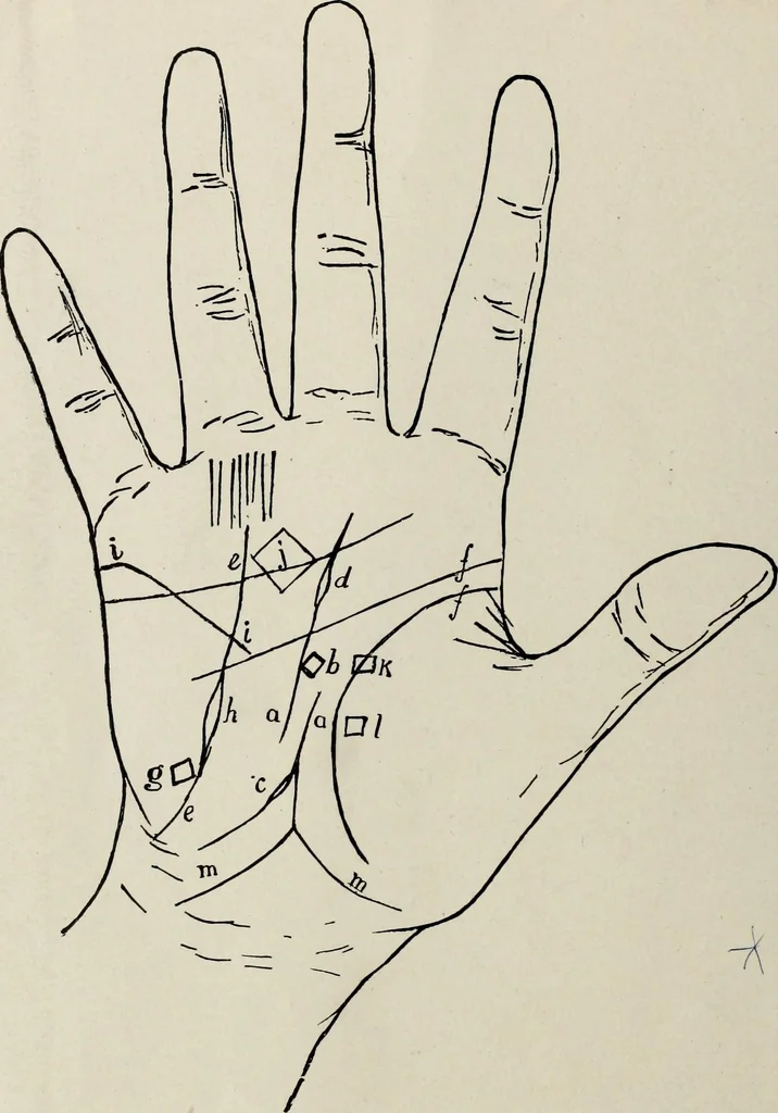 An illustration from Cheiro's language of the hand : complete practical work on the sciences of cheirognomy and cheiromancy, containing the system, rules, and experience of Cheiro [pseud.] fifty-five full-page illustrations, and over two hundred engravings of lines, mounts, and marks, 1900, leaf 181