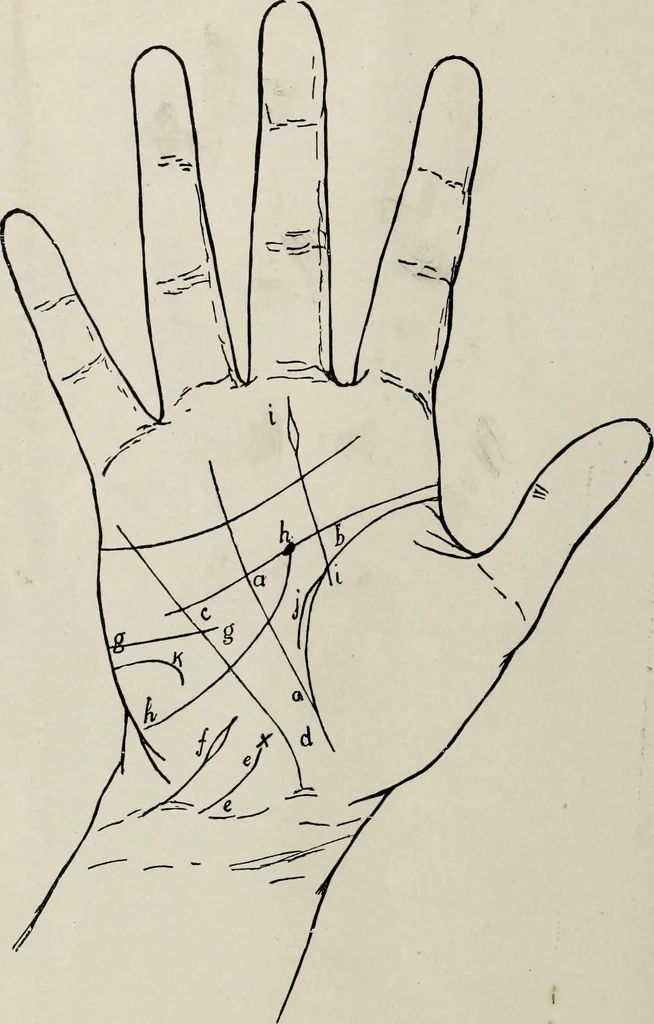 An illustration from Cheiro's language of the hand : complete practical work on the sciences of cheirognomy and cheiromancy, containing the system, rules, and experience of Cheiro [pseud.] fifty-five full-page illustrations, and over two hundred engravings of lines, mounts, and marks, 1900, leaf 191