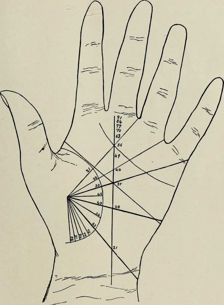 An illustration from Cheiro's language of the hand : complete practical work on the sciences of cheirognomy and cheiromancy, containing the system, rules, and experience of Cheiro [pseud.] fifty-five full-page illustrations, and over two hundred engravings of lines, mounts, and marks, 1900, leaf 206