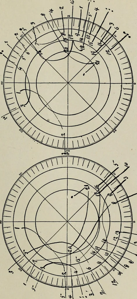 An illustration from Cheiro's language of the hand : complete practical work on the sciences of cheirognomy and cheiromancy, containing the system, rules, and experience of Cheiro [pseud.] fifty-five full-page illustrations, and over two hundred engravings of lines, mounts, and marks, 1900, leaf 226