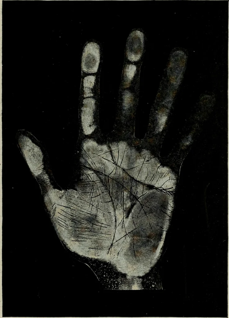 An illustration from Cheiro's language of the hand : complete practical work on the sciences of cheirognomy and cheiromancy, containing the system, rules, and experience of Cheiro [pseud.] fifty-five full-page illustrations, and over two hundred engravings of lines, mounts, and marks, 1900, leaf 236
