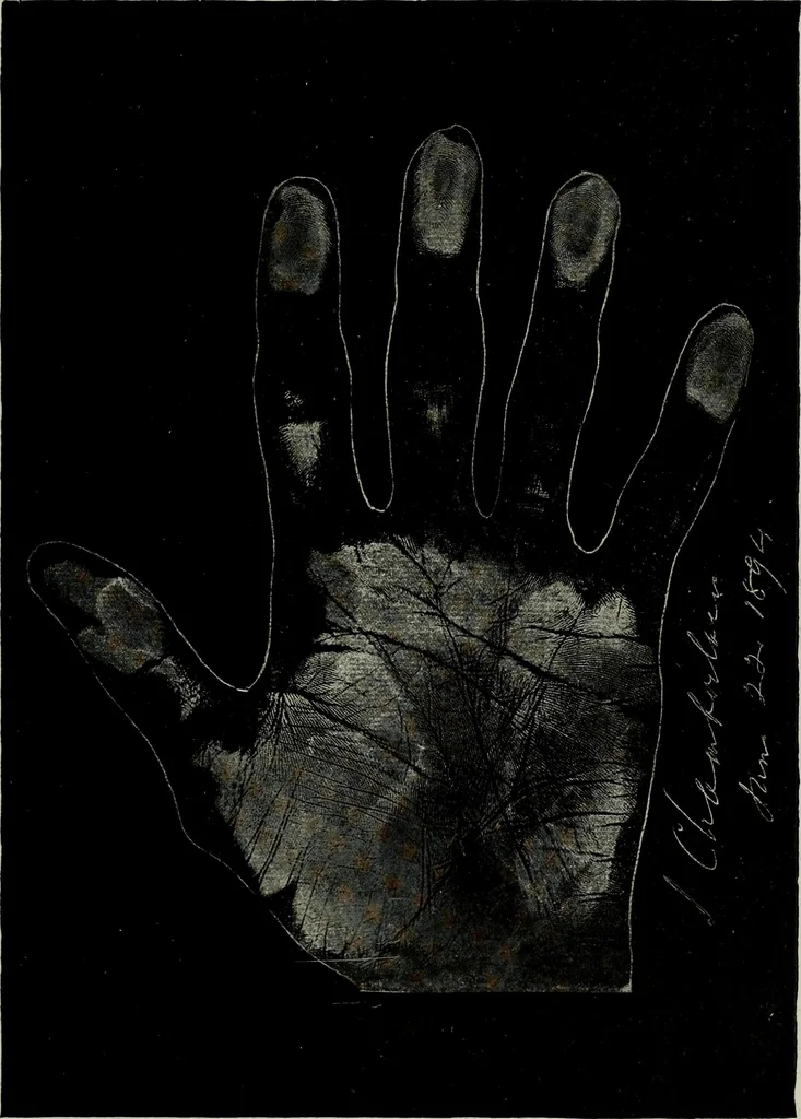 An illustration from Cheiro's language of the hand : complete practical work on the sciences of cheirognomy and cheiromancy, containing the system, rules, and experience of Cheiro [pseud.] fifty-five full-page illustrations, and over two hundred engravings of lines, mounts, and marks, 1900, leaf 240
