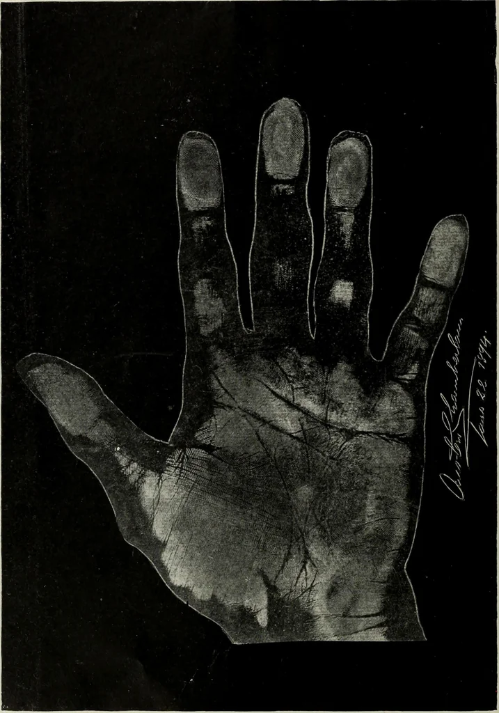 An illustration from Cheiro's language of the hand : complete practical work on the sciences of cheirognomy and cheiromancy, containing the system, rules, and experience of Cheiro [pseud.] fifty-five full-page illustrations, and over two hundred engravings of lines, mounts, and marks, 1900, leaf 241