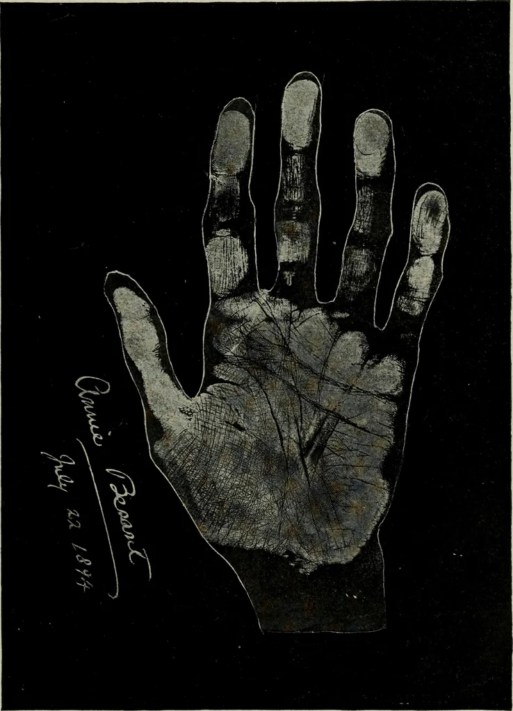 An illustration from Cheiro's language of the hand : complete practical work on the sciences of cheirognomy and cheiromancy, containing the system, rules, and experience of Cheiro [pseud.] fifty-five full-page illustrations, and over two hundred engravings of lines, mounts, and marks, 1900, leaf 242