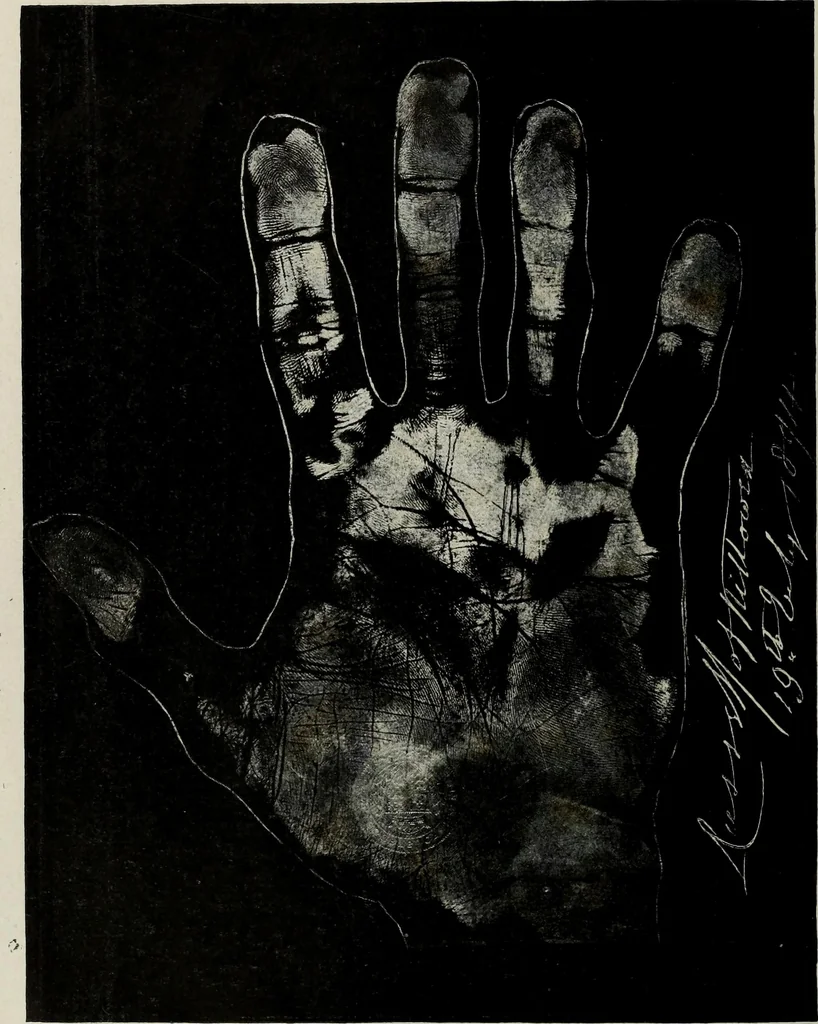 An illustration from Cheiro's language of the hand : complete practical work on the sciences of cheirognomy and cheiromancy, containing the system, rules, and experience of Cheiro [pseud.] fifty-five full-page illustrations, and over two hundred engravings of lines, mounts, and marks, 1900, leaf 243