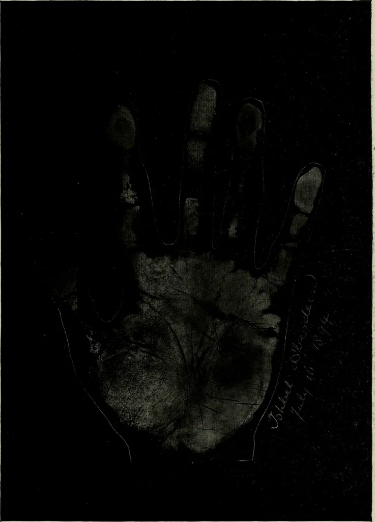 An illustration from Cheiro's language of the hand : complete practical work on the sciences of cheirognomy and cheiromancy, containing the system, rules, and experience of Cheiro [pseud.] fifty-five full-page illustrations, and over two hundred engravings of lines, mounts, and marks, 1900, leaf 244