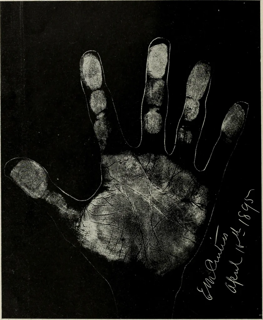 An illustration from Cheiro's language of the hand : complete practical work on the sciences of cheirognomy and cheiromancy, containing the system, rules, and experience of Cheiro [pseud.] fifty-five full-page illustrations, and over two hundred engravings of lines, mounts, and marks, 1900, leaf 249