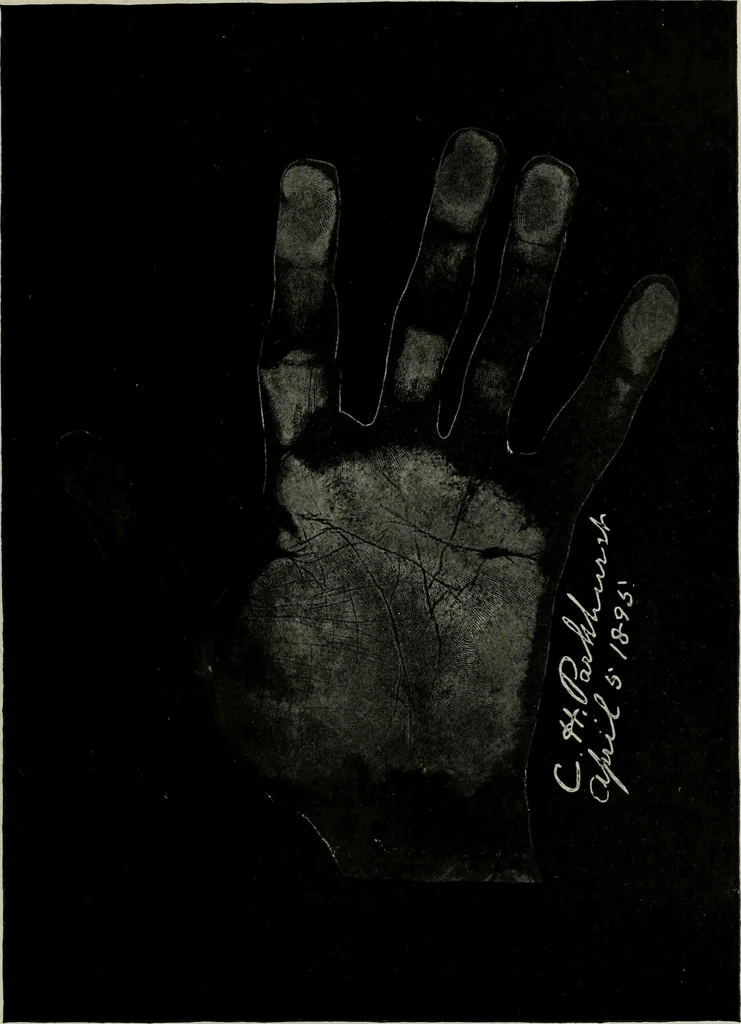 An illustration from Cheiro's language of the hand : complete practical work on the sciences of cheirognomy and cheiromancy, containing the system, rules, and experience of Cheiro [pseud.] fifty-five full-page illustrations, and over two hundred engravings of lines, mounts, and marks, 1900, leaf 250