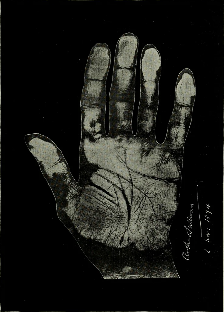 An illustration from Cheiro's language of the hand : complete practical work on the sciences of cheirognomy and cheiromancy, containing the system, rules, and experience of Cheiro [pseud.] fifty-five full-page illustrations, and over two hundred engravings of lines, mounts, and marks, 1900, leaf 252