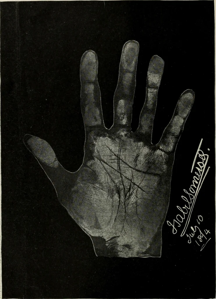 An illustration from Cheiro's language of the hand : complete practical work on the sciences of cheirognomy and cheiromancy, containing the system, rules, and experience of Cheiro [pseud.] fifty-five full-page illustrations, and over two hundred engravings of lines, mounts, and marks, 1900, leaf 253