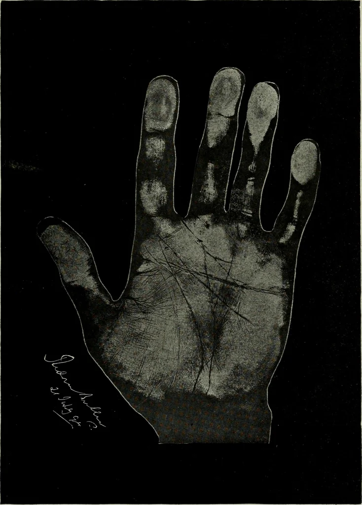 An illustration from Cheiro's language of the hand : complete practical work on the sciences of cheirognomy and cheiromancy, containing the system, rules, and experience of Cheiro [pseud.] fifty-five full-page illustrations, and over two hundred engravings of lines, mounts, and marks, 1900, leaf 258