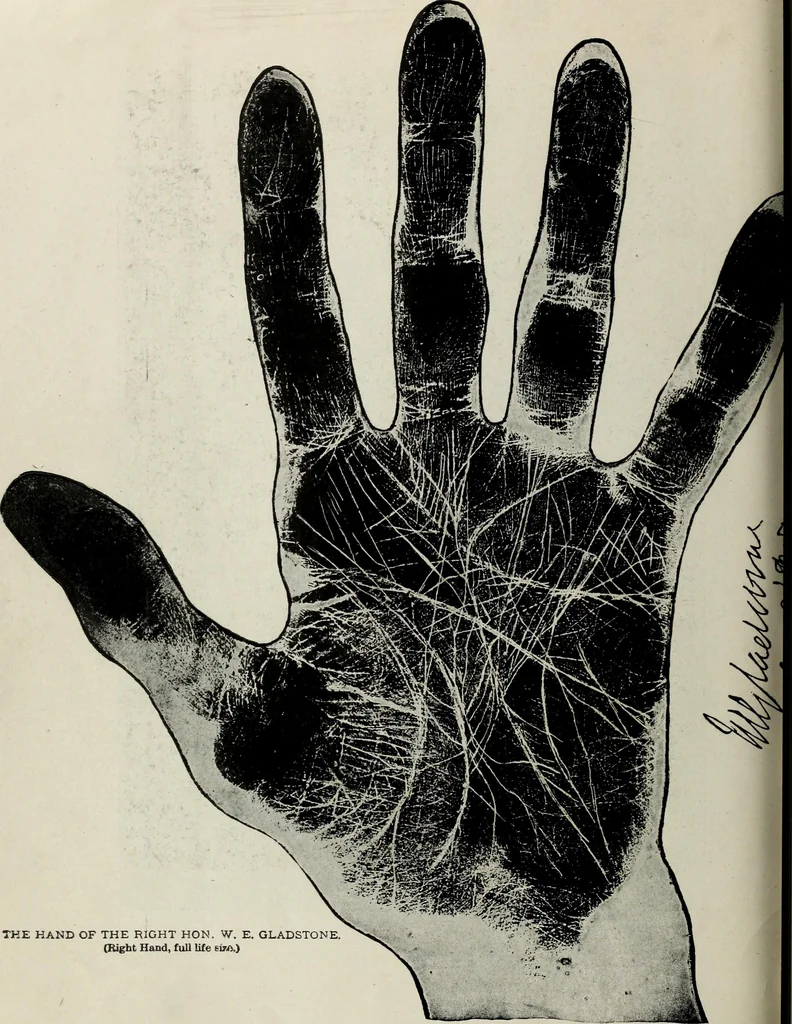 An illustration from Cheiro's language of the hand : complete practical work on the sciences of cheirognomy and cheiromancy, containing the system, rules, and experience of Cheiro [pseud.] fifty-five full-page illustrations, and over two hundred engravings of lines, mounts, and marks, 1900, leaf 261