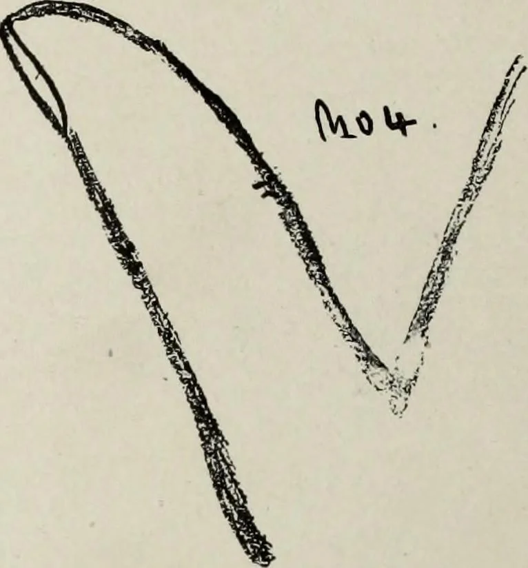 An illustration from Cheiro's language of the hand : complete practical work on the sciences of cheirognomy and cheiromancy, containing the system, rules, and experience of Cheiro [pseud.] fifty-five full-page illustrations, and over two hundred engravings of lines, mounts, and marks, 1900, leaf 79