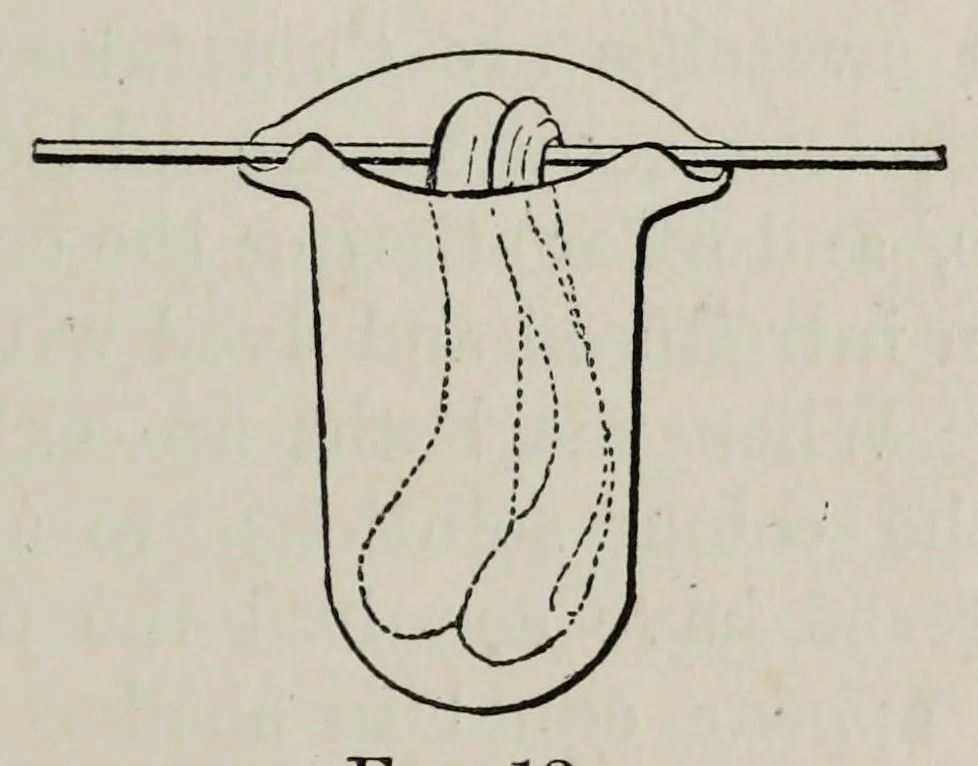 An illustration from The chemistry of the coal-tar colours, 1886, leaf 67