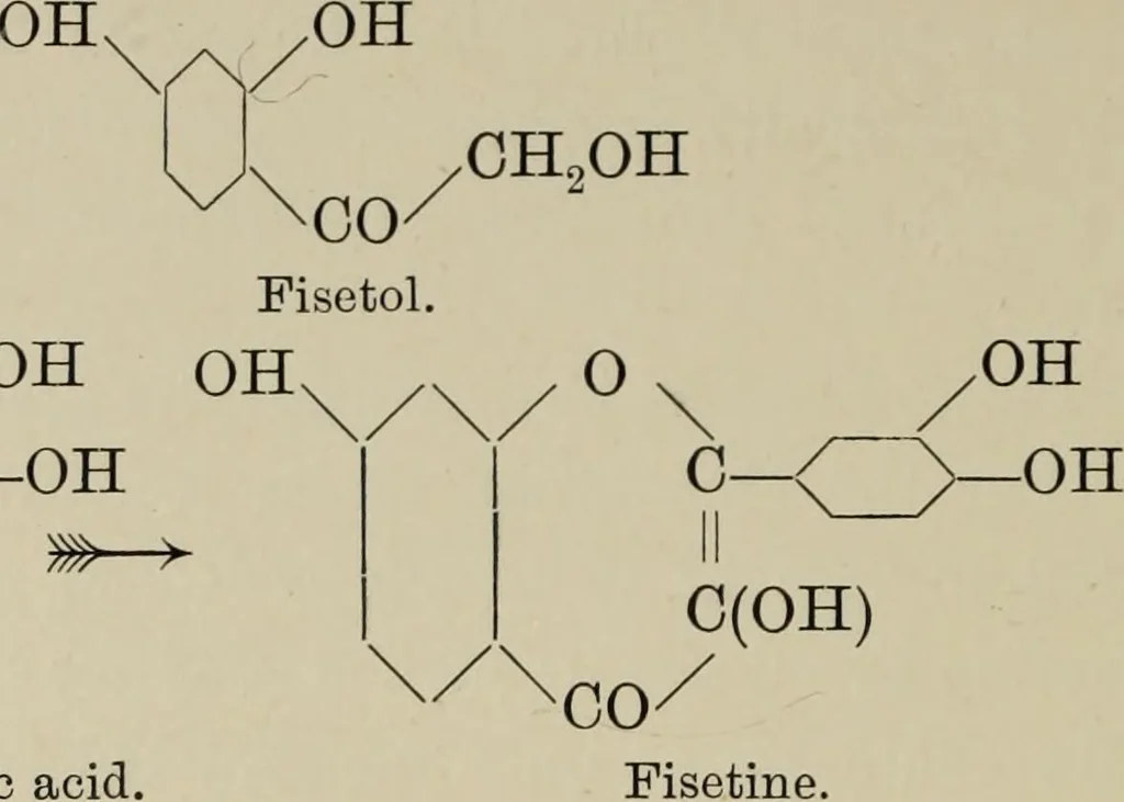 An illustration from Chemistry of dye-stuffs, 1903, leaf 237