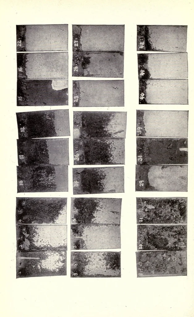 An illustration from The chemistry and technology of paints, 1916, leaf 278