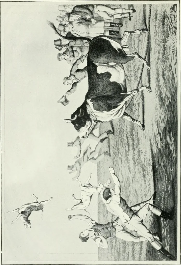 An illustration from Cheshire, its traditions and history, including a record of the rise and progress of freemasonry in this ancient province, 1920, leaf 123