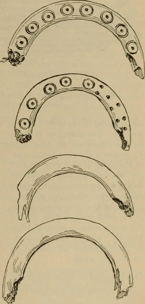 An illustration from Chess and playing cards, 1898, leaf 112
