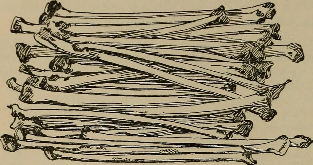 An illustration from Chess and playing cards, 1898, leaf 113