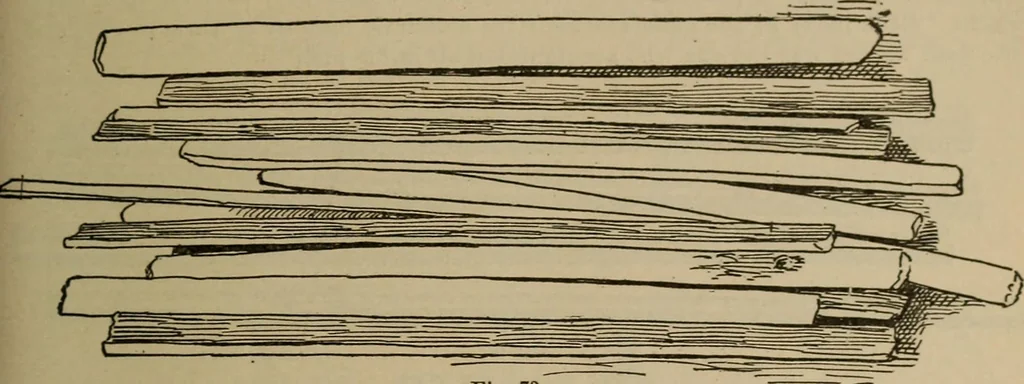 An illustration from Chess and playing cards, 1898, leaf 118