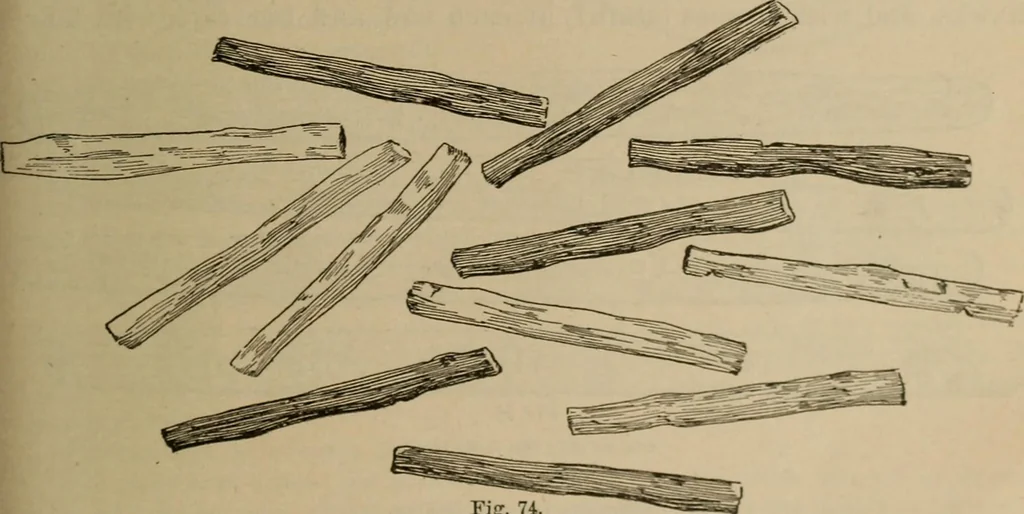 An illustration from Chess and playing cards, 1898, leaf 118