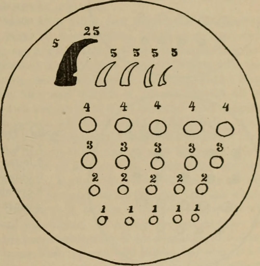 An illustration from Chess and playing cards, 1898, leaf 120