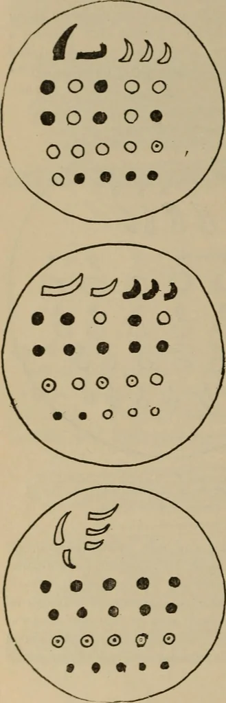 An illustration from Chess and playing cards, 1898, leaf 121