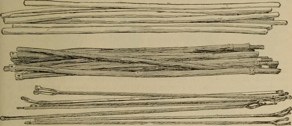 An illustration from Chess and playing cards, 1898, leaf 130