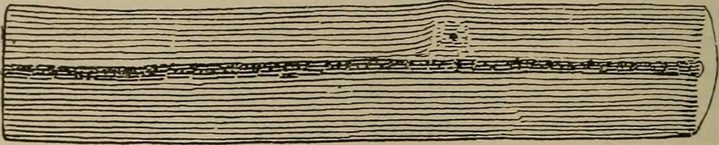 An illustration from Chess and playing cards, 1898, leaf 135