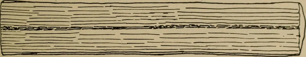 An illustration from Chess and playing cards, 1898, leaf 138