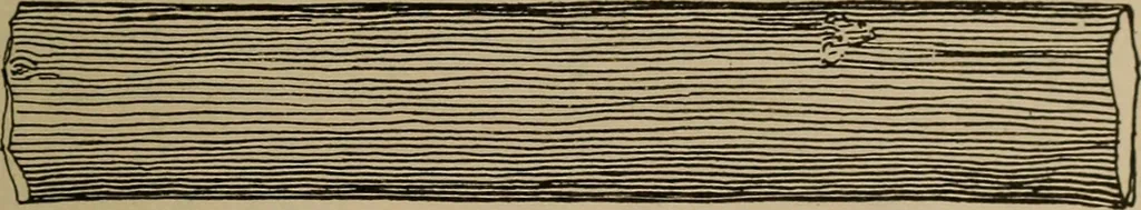 An illustration from Chess and playing cards, 1898, leaf 138