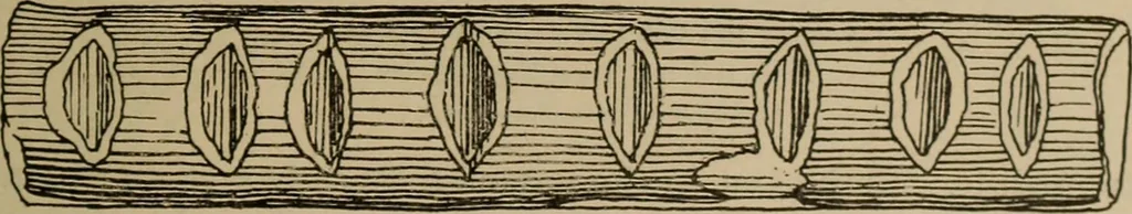 An illustration from Chess and playing cards, 1898, leaf 138