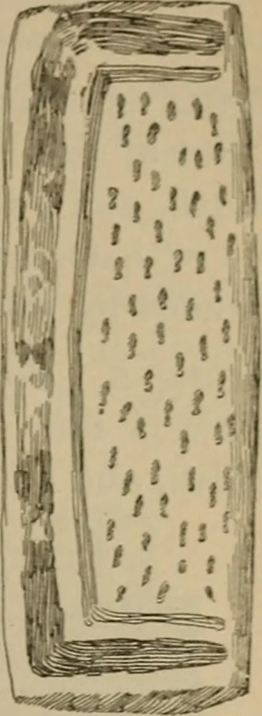 An illustration from Chess and playing cards, 1898, leaf 142