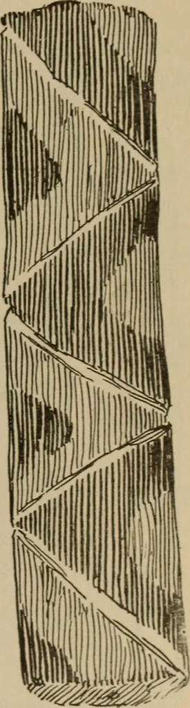 An illustration from Chess and playing cards, 1898, leaf 146