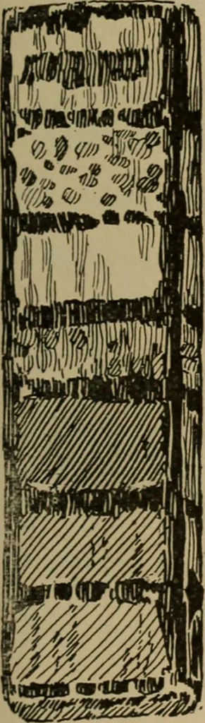 An illustration from Chess and playing cards, 1898, leaf 148
