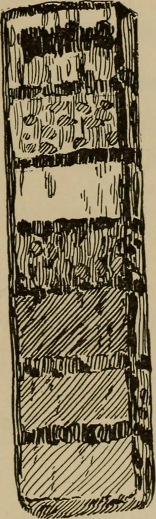 An illustration from Chess and playing cards, 1898, leaf 148