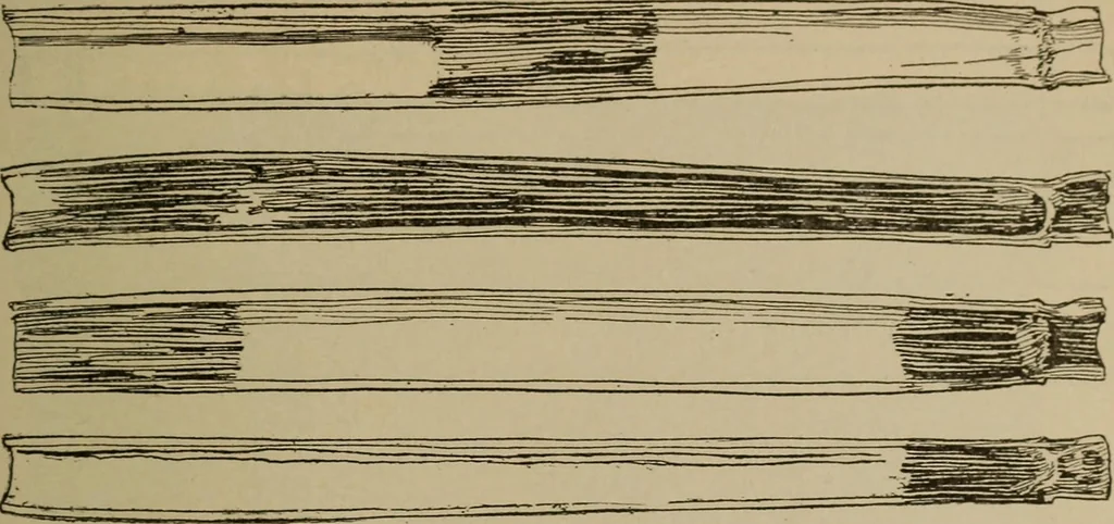 An illustration from Chess and playing cards, 1898, leaf 150