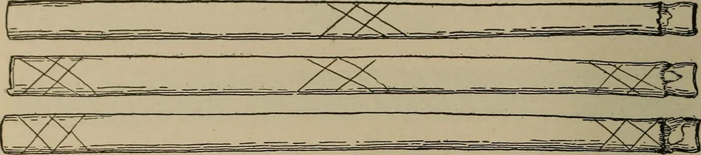 An illustration from Chess and playing cards, 1898, leaf 151