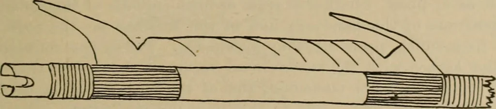 An illustration from Chess and playing cards, 1898, leaf 156