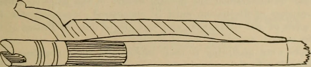 An illustration from Chess and playing cards, 1898, leaf 156