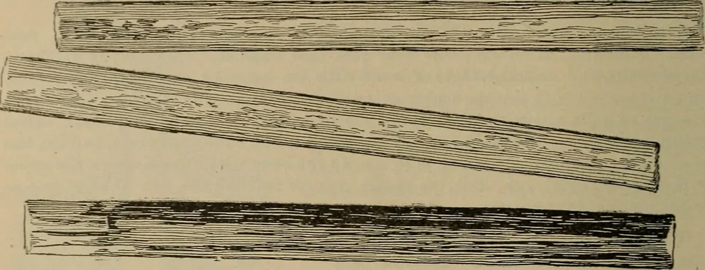 An illustration from Chess and playing cards, 1898, leaf 187